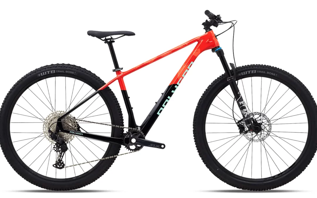 POLYGON | SYNCLINE C5